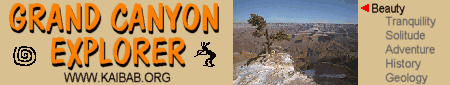 Grand Canyon Explorer